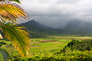 The Hanalai river meanders through the Hanalei Valley home to where mo...