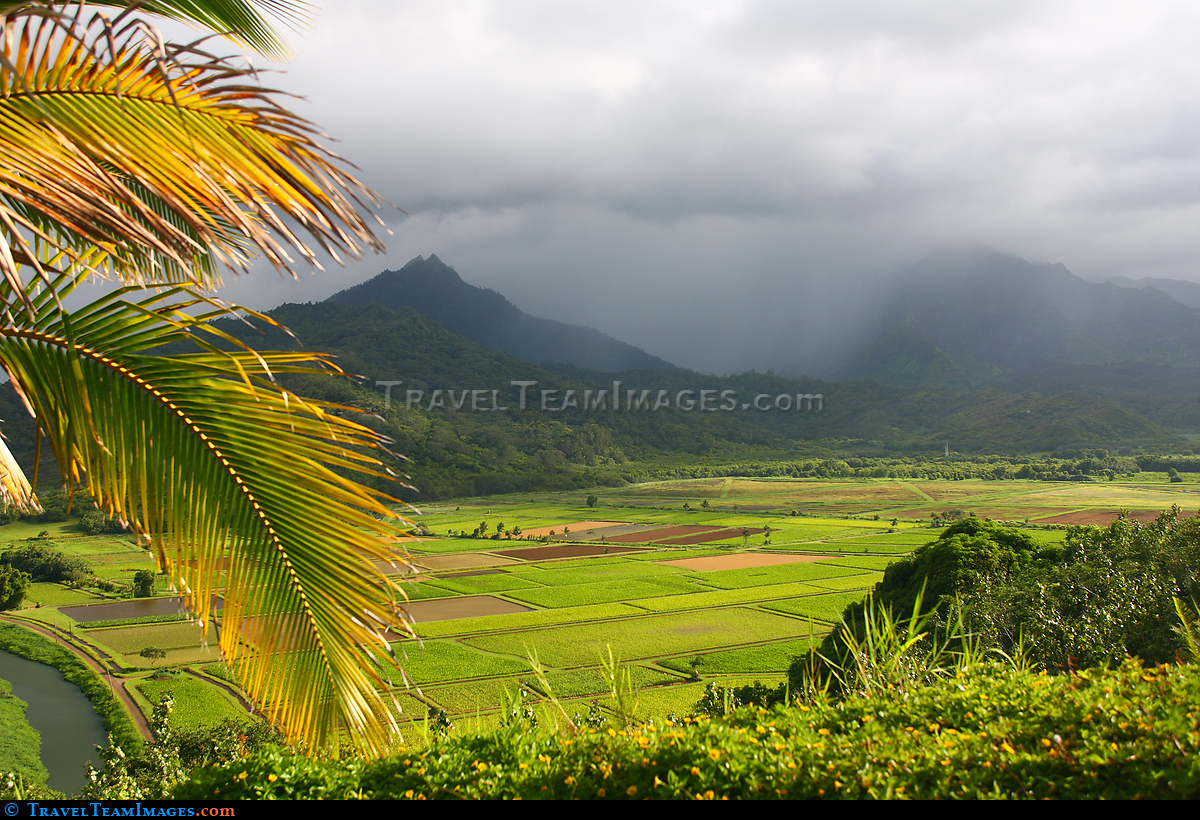Hanalei Valley Overlook