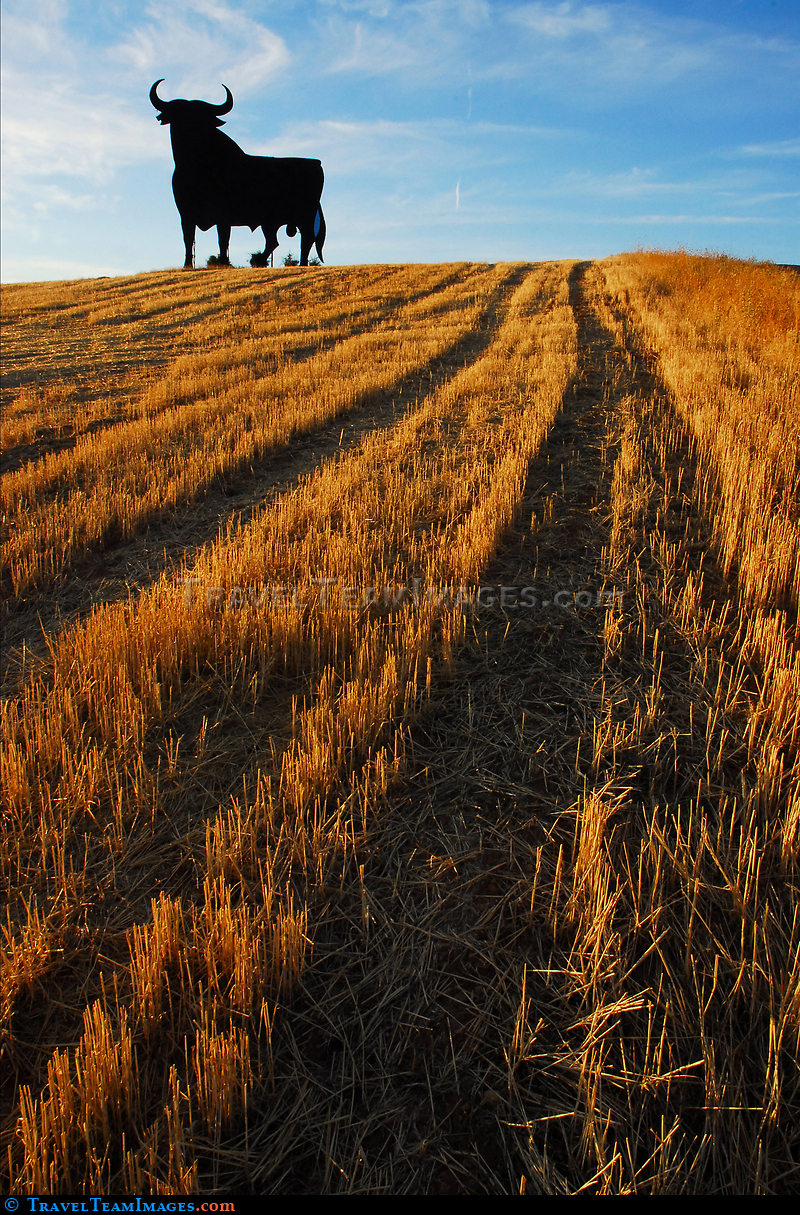 Toro de Osborne