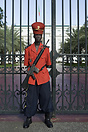 Presidential Palace Guard