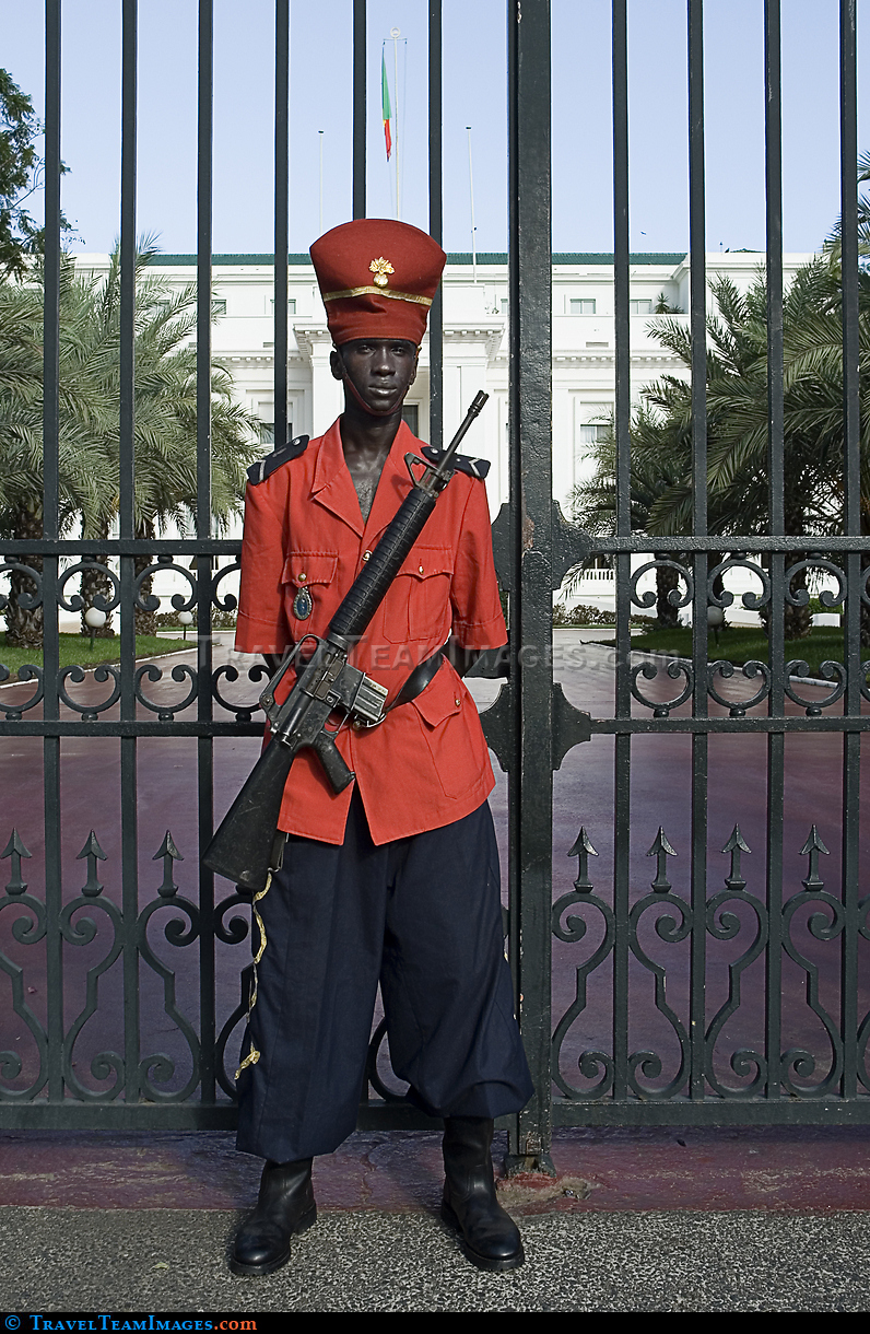 Presidential Palace Guard