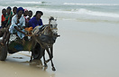 People travelling along the coast in a cart.