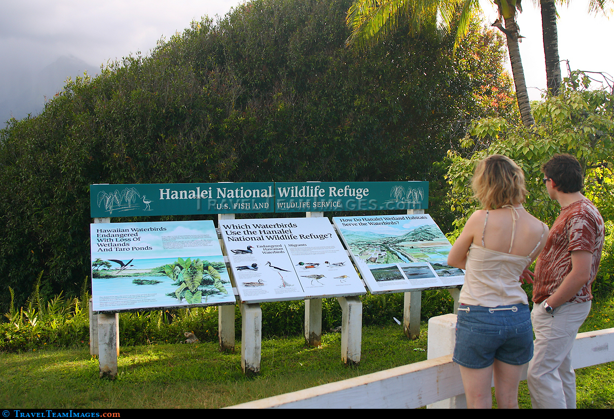 Hanalei