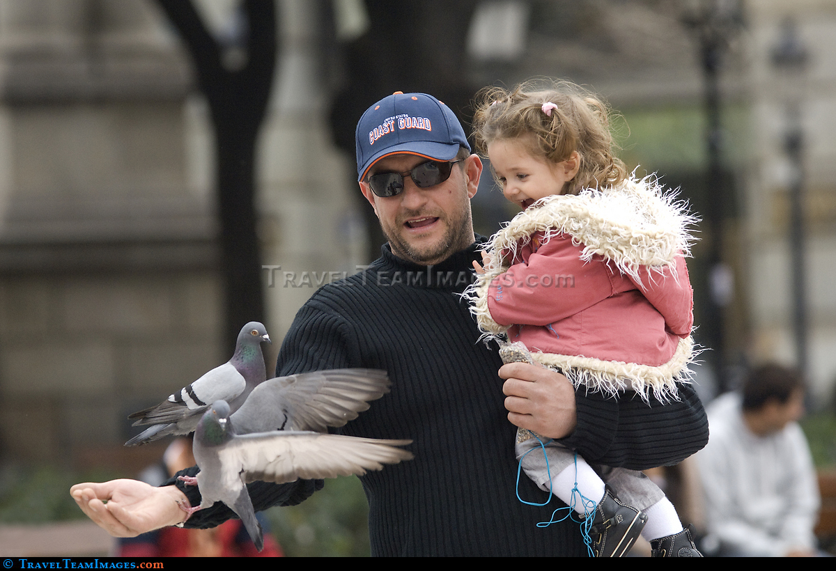 Pigeons