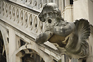 A gargoyle on the Duomo di Milano (Milan Cathedral)