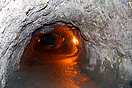 Thurston Lava Tube in Hawaii Volcanoes National Park.