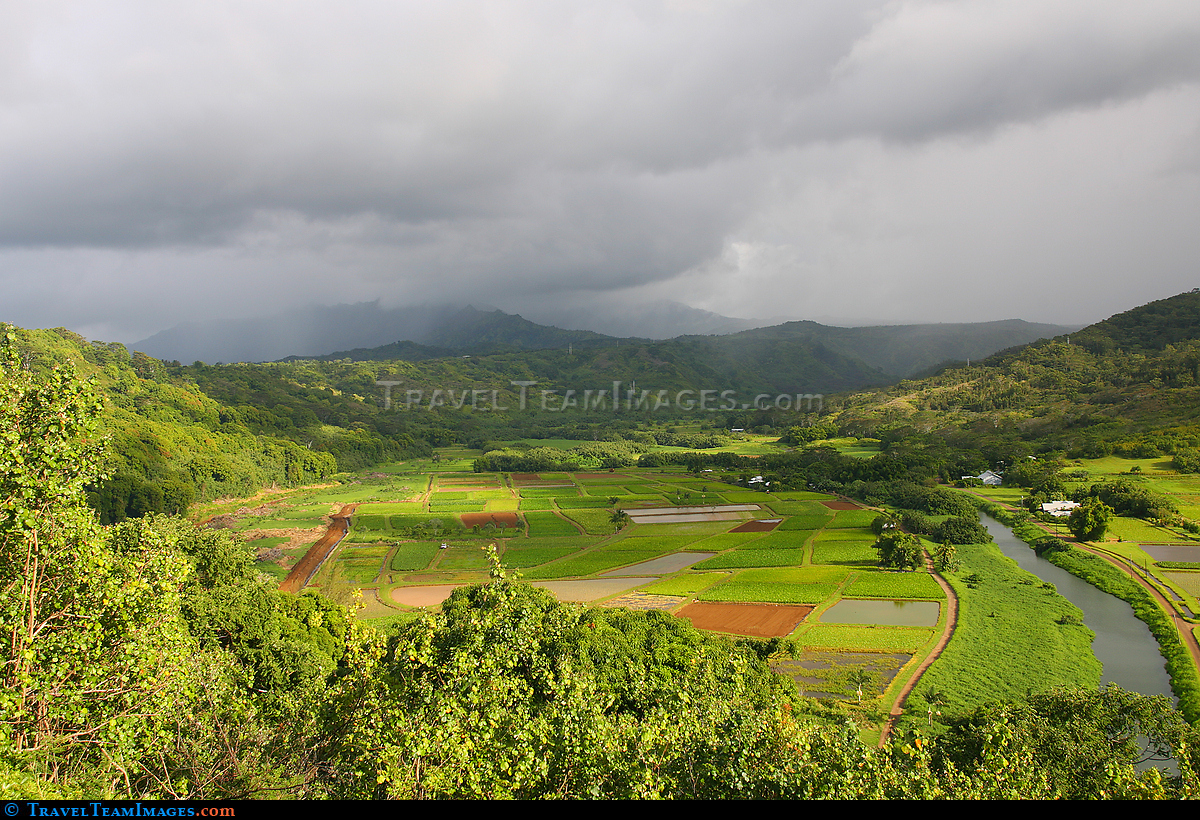 Hanalei