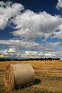 The fields have been harvested ready for the onset of Autumn.  Intense...