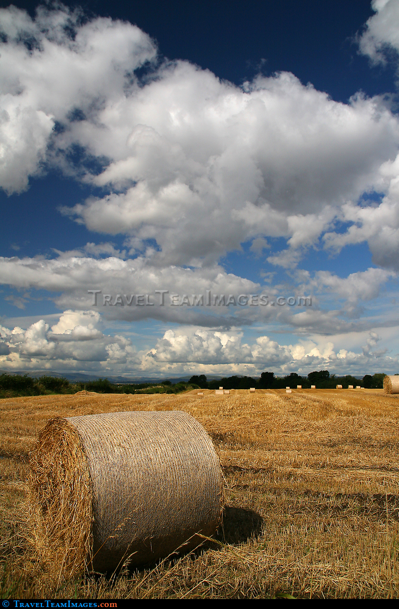 Late Summer