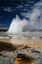 One of many active geysers to be found in Yellowstone National Park, e...