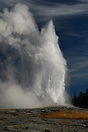 The most well-known of Yellowstone's geysers, Old Faithful erupts appr...