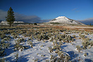 The first snow of the winter arrives in Yellowstone.  This is just a b...