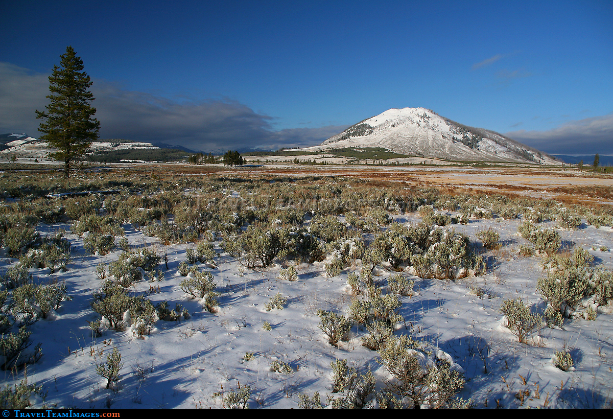Yellowstone National Park