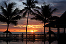 Palm trees at sunset, Turtle Beach, Tobago