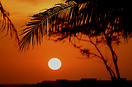 Kata beach at sunset.