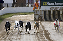 Greyhound racing in the Kinsley Stadium