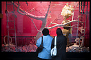 Window shopping at the Galeries Lafayette