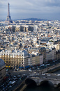 View of Paris from the towers of Notre-Dame