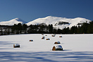 A field of hay bales in the Pentland Hills covered by a fresh fall of ...