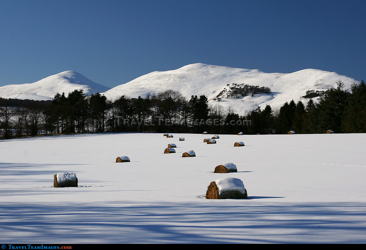 Winter Hay Bales
