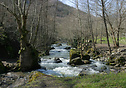 A stream running through woodlands, Yuvacik, Turkey