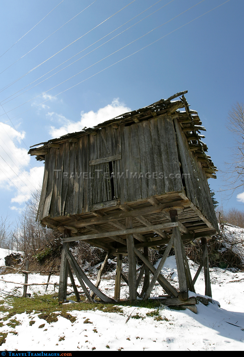Food Storage