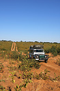 The long sandy stretch of road between Savute and the Chobe River in C...