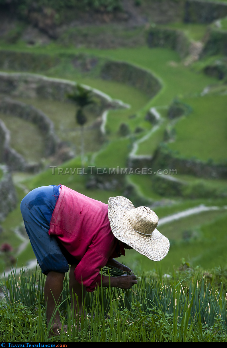 Batad Rice Terraces