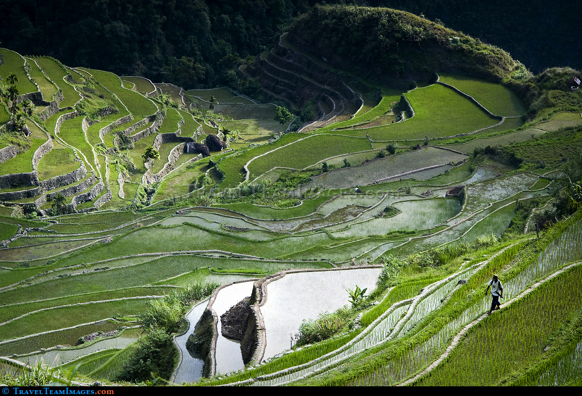 Batad Rice Terraces