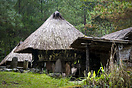 Traditional Ifugao houses near Banaue.