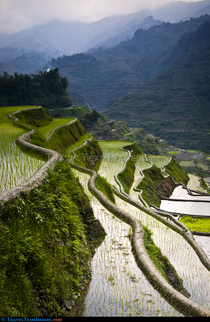 Banaue Rice Terraces