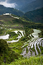 Rice terraces near Hungduan village, Luzon