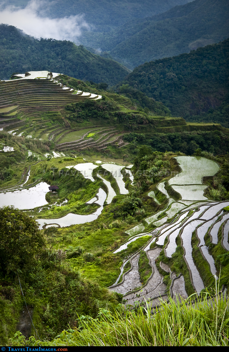 Hungduan Rice Terraces